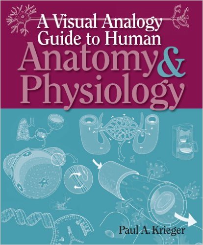 free-pdf-download-A Visual Analogy Guide to Human Anatomy & Physiology