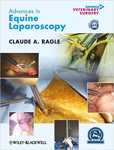 free-pdf-download-Advances in Equine Laparoscopy (AVS Advances in Veterinary Surgery) 1st Edition