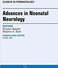 free-pdf-download-Advances in Neonatal Neurology