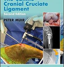 free-pdf-download-Advances in the Canine Cranial Cruciate Ligament (AVS Advances in Veterinary Surgery) 2nd Edition