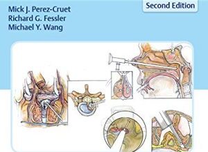 free-pdf-download-An Anatomic Approach to Minimally Invasive Spine Surgery 2nd Edition