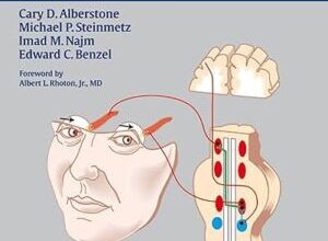 free-pdf-download-Anatomic Basis of Neurologic Diagnosis 1st Edition