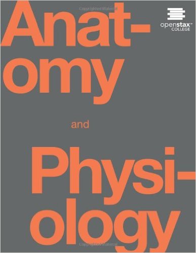 free-pdf-download-Anatomy & Physiology