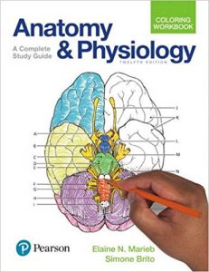 free-pdf-download-Anatomy and Physiology Coloring Workbook: A Complete Study Guide (12th Edition) 12th Edition