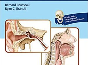 free-pdf-download-Anatomy and Physiology of Speech and Hearing Illustrated Edition