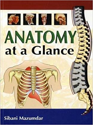 free-pdf-download-Anatomy at a Glance 1st Edition