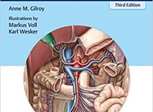 free-pdf-download-Anatomy – An Essential Textbook 3rd Edition