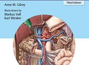 free-pdf-download-Anatomy – An Essential Textbook 3rd Edition