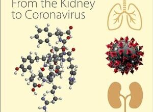 free-pdf-download-Angiotensin: From the Kidney to Coronavirus (Molecular Mediators in Health and Disease: How Cells Communicate)