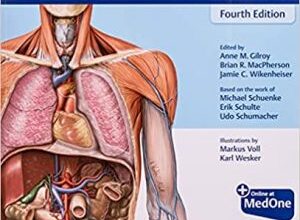 free-pdf-download-Atlas of Anatomy 4th Edition