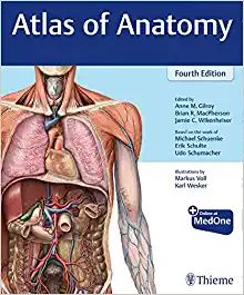 free-pdf-download-Atlas of Anatomy 4th Edition