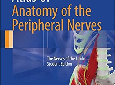 free-pdf-download-Atlas of Anatomy of the Peripheral Nerves: The Nerves of the Limbs – Student Edition 1st ed