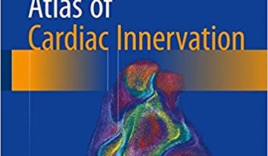 free-pdf-download-Atlas of Cardiac Innervation 1st ed