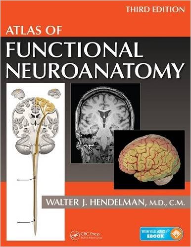 free-pdf-download-Atlas of Functional Neuroanatomy