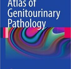 free-pdf-download-Atlas of Genitourinary Pathology