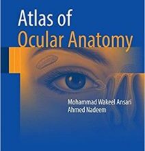 free-pdf-download-Atlas of Ocular Anatomy 1st ed