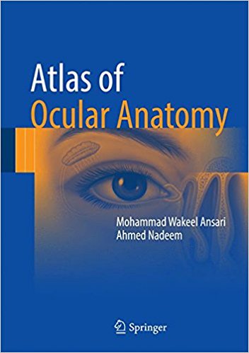 free-pdf-download-Atlas of Ocular Anatomy 1st ed