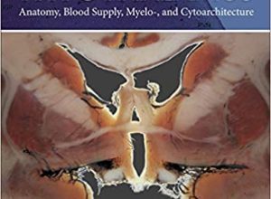 free-pdf-download-Atlas of the Human Hypothalamus: Anatomy