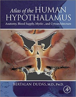 free-pdf-download-Atlas of the Human Hypothalamus: Anatomy