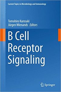 free-pdf-download-B Cell Receptor Signaling (Current Topics in Microbiology and Immunology) 1st ed. 2016 Edition