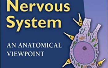 free-pdf-download-Barr’s The Human Nervous System: An Anatomical Viewpoint