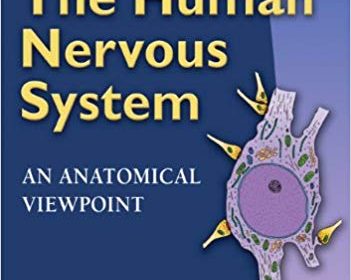 free-pdf-download-Barr’s The Human Nervous System: An Anatomical Viewpoint