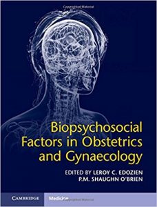 free-pdf-download-Biopsychosocial Factors in Obstetrics and Gynaecology 1st Edition