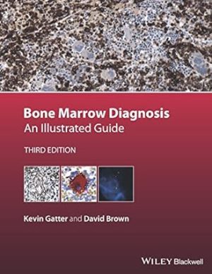 free-pdf-download-Bone Marrow Diagnosis: An Illustrated Guide 3rd Edition