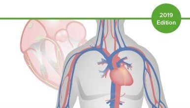 free-pdf-download-Cardiovascular Pathology The Perfect Preparation for USMLE Step 1