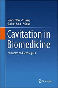 free-pdf-download-Cavitation in Biomedicine: Principles and Techniques 1st ed