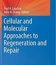 free-pdf-download-Cellular and Molecular Approaches to Regeneration and Repair (Springer Series in Translational Stroke Research) 1st ed