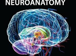 free-pdf-download-Clinical Neuroanatomy 27/E (Lange Medical Book) 27th Edition