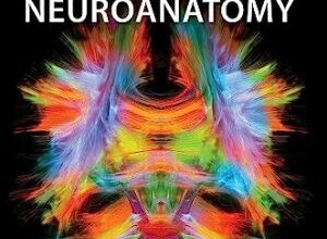 free-pdf-download-Clinical Neuroanatomy