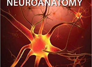 free-pdf-download-Clinical Neuroanatomy 29th Edition