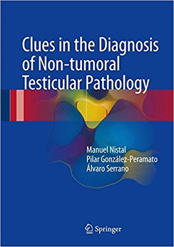 free-pdf-download-Clues in the Diagnosis of Non-tumoral Testicular Pathology 1st ed. 2017 Edition