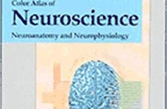 free-pdf-download-Color Atlas of Neuroscience: Neuroanatomy and Neurophysiology 1st Edition