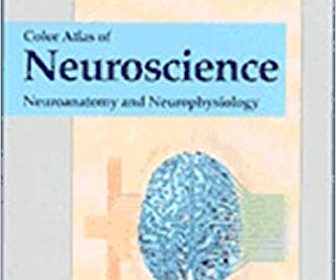 free-pdf-download-Color Atlas of Neuroscience: Neuroanatomy and Neurophysiology 1st Edition