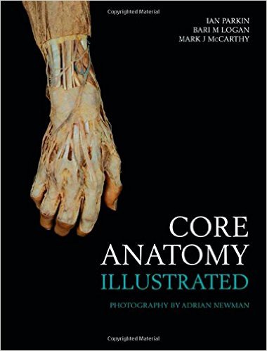 free-pdf-download-Core Anatomy – Illustrated 1st Edition