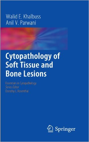 free-pdf-download-Cytopathology of Soft Tissue and Bone Lesions (Essentials in Cytopathology) 2011th Edition