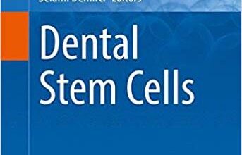 free-pdf-download-Dental Stem Cells (Stem Cell Biology and Regenerative Medicine) 1st ed