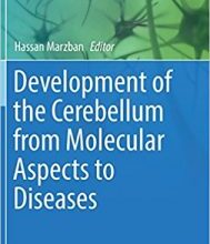 free-pdf-download-Development of the Cerebellum from Molecular Aspects to Diseases (Contemporary Clinical Neuroscience) 1st ed. 2017 Edition