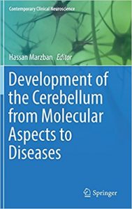 free-pdf-download-Development of the Cerebellum from Molecular Aspects to Diseases (Contemporary Clinical Neuroscience) 1st ed. 2017 Edition