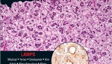 free-pdf-download-Diagnostic Pathology: Hepatobiliary & Pancreas: Published by Amirsys 1st Edition