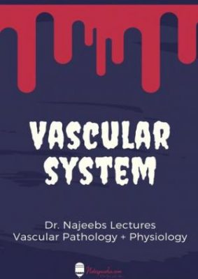 free-pdf-download-Dr Najeeb Vascular System Notes By Notespaedia