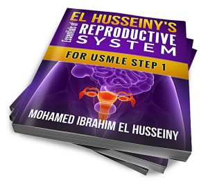 free-pdf-download-EL Husseiny’s Essentials of Reproductive system.pdf