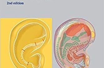 free-pdf-download-Ear Acupuncture: A Precise Pocket Atlas