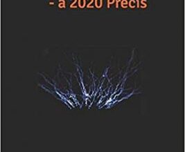 free-pdf-download-Emerging Principles in Intensive Care: a 2020 Precis