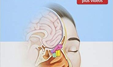 free-pdf-download-Endoscopic Sinus Surgery: Anatomy