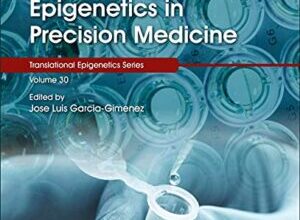 free-pdf-download-Epigenetics in Precision Medicine (Volume 30)