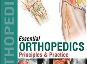 free-pdf-download-Essential Orthopedics: Principles and Practice